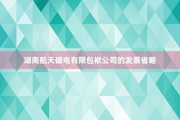 湖南航天磁电有限包袱公司的发展省略