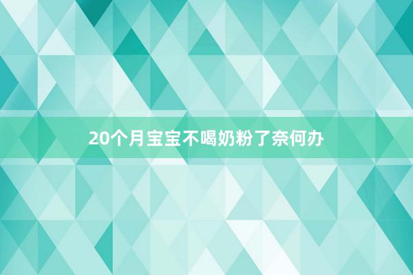 20个月宝宝不喝奶粉了奈何办