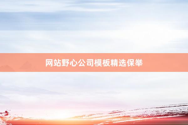 网站野心公司模板精选保举