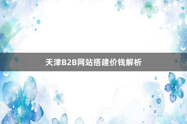 天津B2B网站搭建价钱解析
